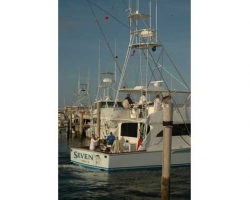 2006-6