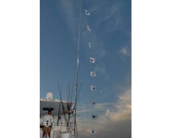 1-21-10-0210_resize