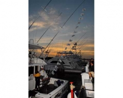 1-21-10-0240_resize